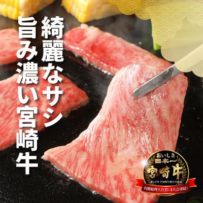 ふるさと納税 木城町 宮崎牛肩ロース焼肉600g(木城町)