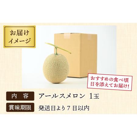 ふるさと納税 アールスメロン 1玉（約1.6kg以上）青肉品種 高級メロン！ ／ マスクメロン 大玉 果物 フルーツ 夏 ギフト .. 福井県あわら市