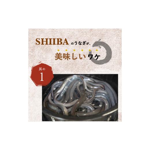 ふるさと納税 和歌山県 湯浅町 BC6001n_うなぎ蒲焼 2本 ＆ 角長特製蒲焼タレ 1本セット