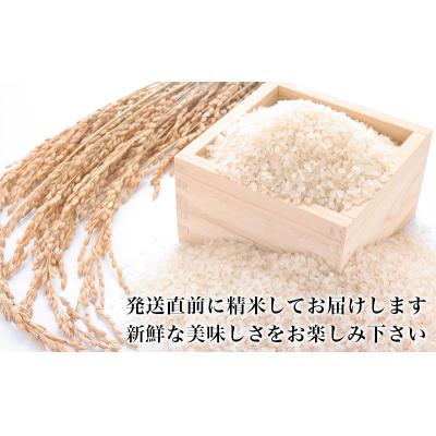 ふるさと納税 石巻市 令和5年産 ヨシ腐葉土米 特別栽培米 精米30kg(10kg×3袋)コシヒカリ