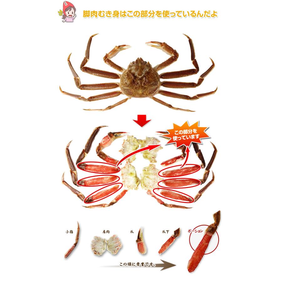 かに カニ 蟹 ズワイガニ ポーション 特大6L〜4L生ずわい脚肉むき身30〜40本（約1kg）