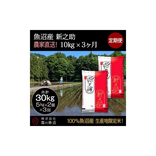 ふるさと納税 新潟県 十日町市 定期便！魚沼産 新之助10kg×3回