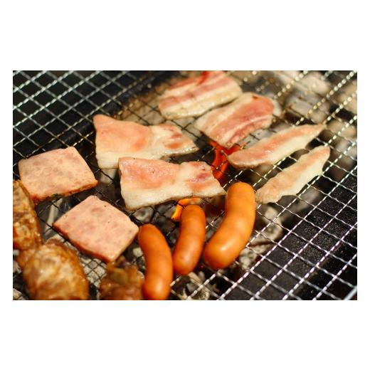 ふるさと納税 愛知県 半田市 ブリオ　焼肉・BBQセット　　牛肉に負けない豚肉の味をご体験