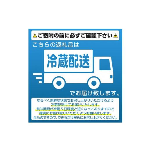 ふるさと納税 鹿児島県 阿久根市 ＜先行予約受付中！2024年6月下旬〜8月下旬の間に発送予定＞数量限定！極甘！白いとうもろこし「雪やこんコーン」(8本) 国産 …