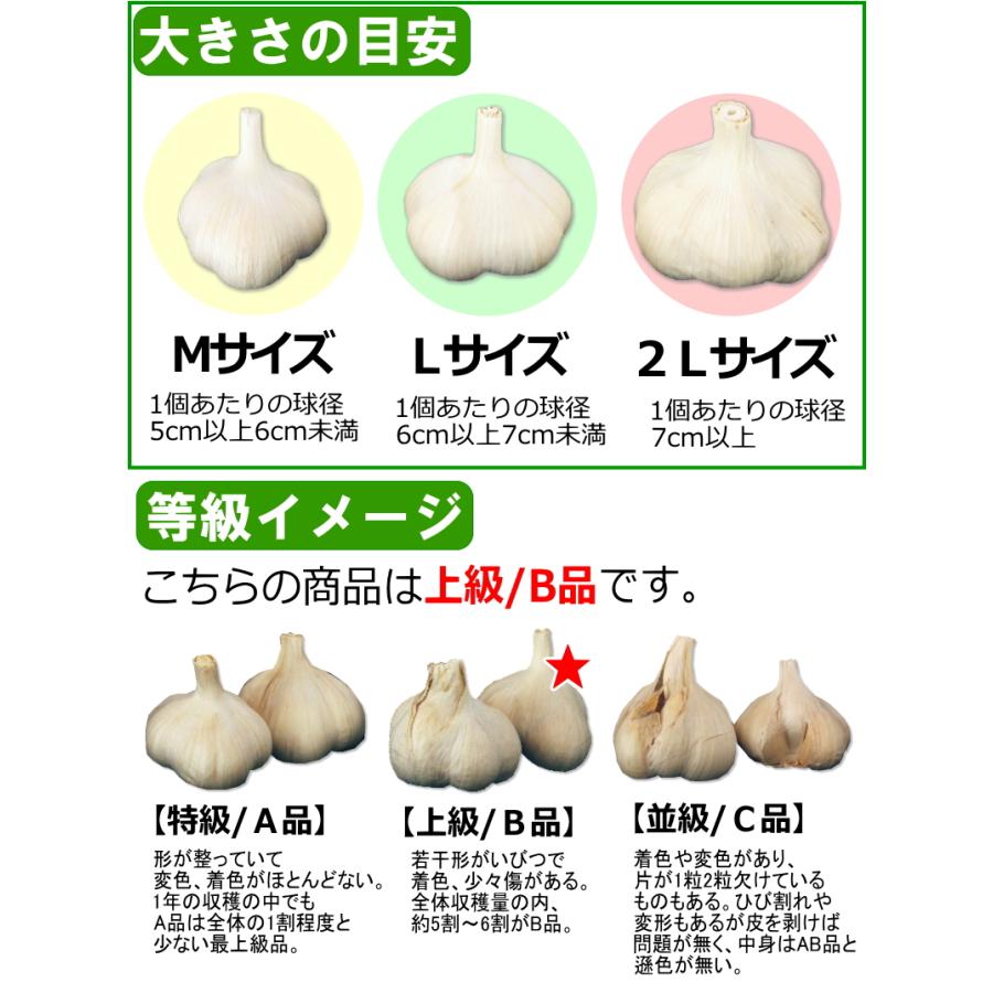 青森 にんにく 1kg 青森 Mサイズ厳選 B品 国産 ニンニク 1キロ ネット詰め 中国産と比べて