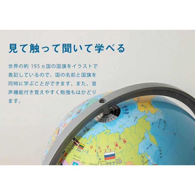 レイメイ藤井 地球儀 しゃべる国旗付 トイ 球径25cm OYV403