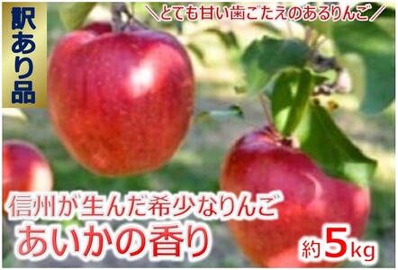 傷等訳あり・ご家庭用　甘い!希少!りんご　幻のあいかの香り　5キロセット（りんご・リンゴ・林檎）