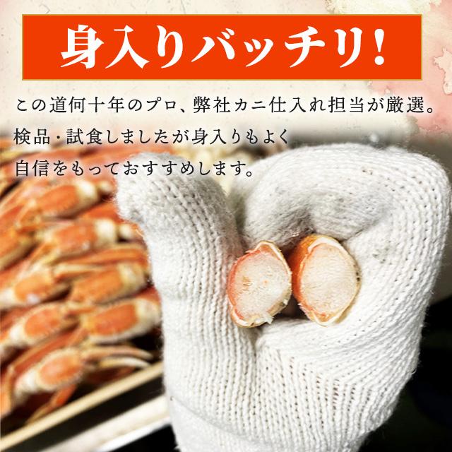 送料無料 ボイルズワイガニ 脚 セクション 5kg 2L〜3Lサイズ相当 250-300g 肩 甲羅を除いた肩から足の部分 かに 蟹 特価