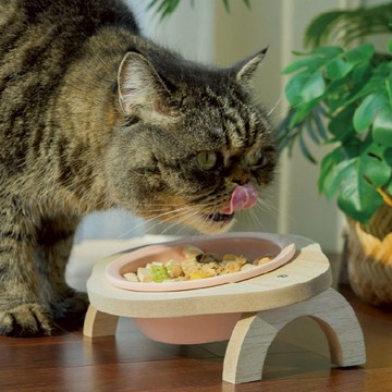 【喵仙兒】馬卡龍陶瓷碗架組