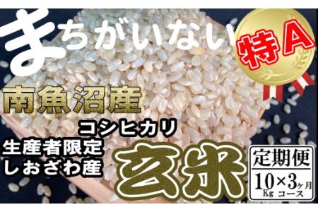 玄米 生産者限定 南魚沼しおざわ産コシヒカリ10Kg×3ヶ月