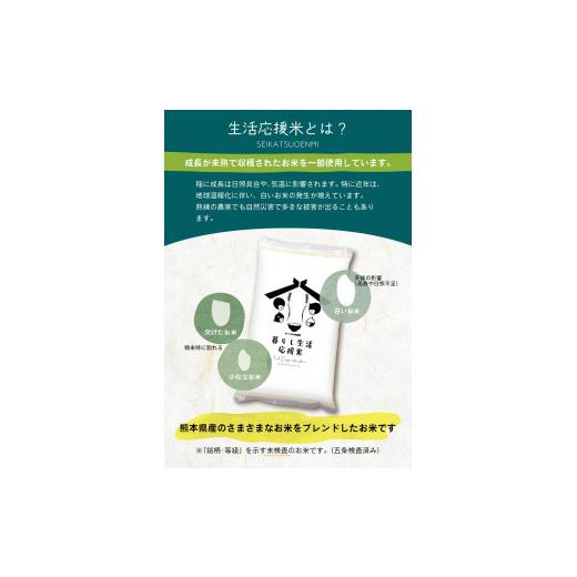 ふるさと納税 熊本県 玉名市  毎日食卓・米農家応援米 20kg