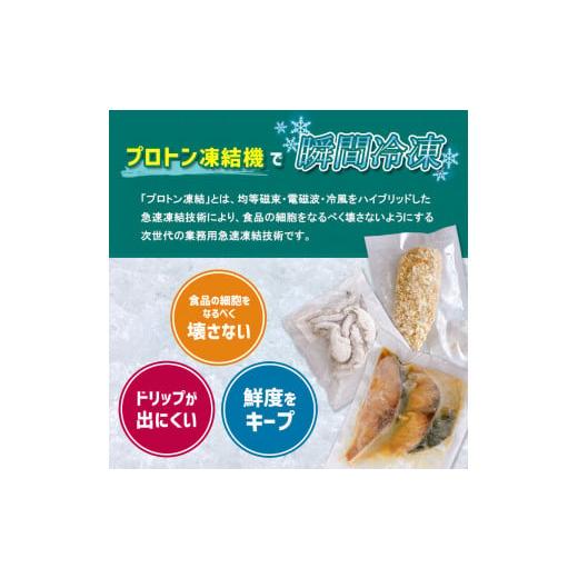 ふるさと納税 熊本県 玉名市 熊本県産 真鯛 漬け丼の素 100g×5パック