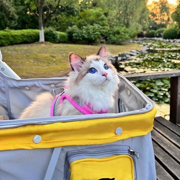 狗狗推車外出輕便可折疊狗狗貓咪泰迪代步車寵物推車中小型犬遛貓 pd6181