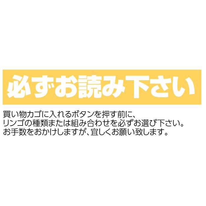 訳ありりんご 10kg 40玉前後 青森県産 送料無料 葉取らずりんご 訳あり 蜜入り リンゴ 林檎 お得用 ご家庭用 果物 フルーツ １０kg