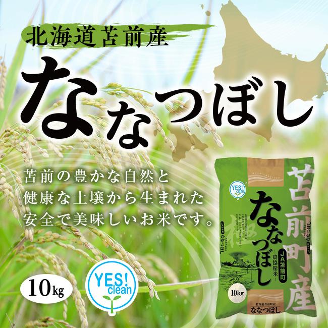 新米 北海道 苫前町産 ななつぼし 10kg　1袋