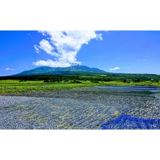 ふるさと納税 北海道 利尻町 利尻昆布堪能ギフトセット(4種)