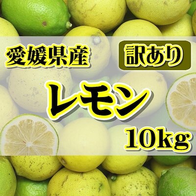 国産　訳あり 愛媛県産 レモン 約10kg