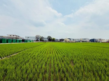 節稅聖品！省議會轉角遇見你旁景觀視野農地有水電A｜台中市霧峰區四德段