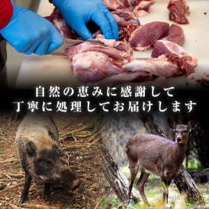 i333 《毎月数量限定》鹿児島県出水市産大幸鹿肉のモモブロック＜計1～1.5kg＞BBQにも大活躍の鹿肉！煮込みやカツレツなどのジビエ料理に！高タンパク・低カロリー・低脂質で鉄分豊富なのでダイエットや体を鍛えている方にもおすすめ♪