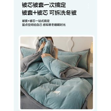 可拆洗冬季加厚牛奶絨被子雙面絨被芯被套單人學生保暖二合一冬被