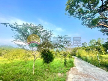 新埔788坪有水電農牧用地｜新竹縣新埔鎮照鏡