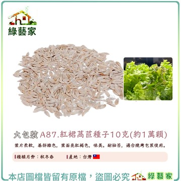 大包裝A87.紅裙萵苣種子10克 (約1萬顆)葉片柔軟，基部綠色，葉面亮紅褐色，味美。耐抽苔，適合燒烤包菜使用【綠藝家】