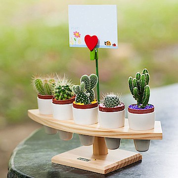 My Garden療癒植物容器多肉精靈系列 盆栽手捲架 1吋x5孔 Dy606 Yahoo奇摩購物中心 Line購物