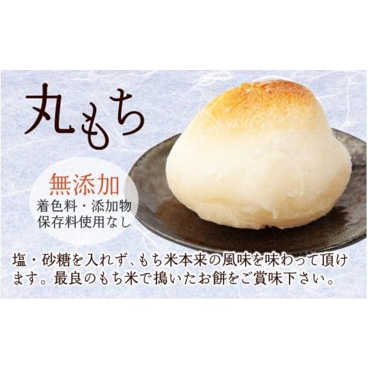 ふるさと納税 福井県 大野市 「杵つき白丸もち16個＋小米もち7枚のセット」 大野産たんちょうもち米使用 【12月20日までの入金確認分…