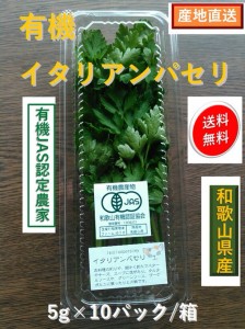 新鮮野菜　　有機　キャンディミント　１５ｇ入 袋×８パックセット 箱　　和歌山県岩出産　　