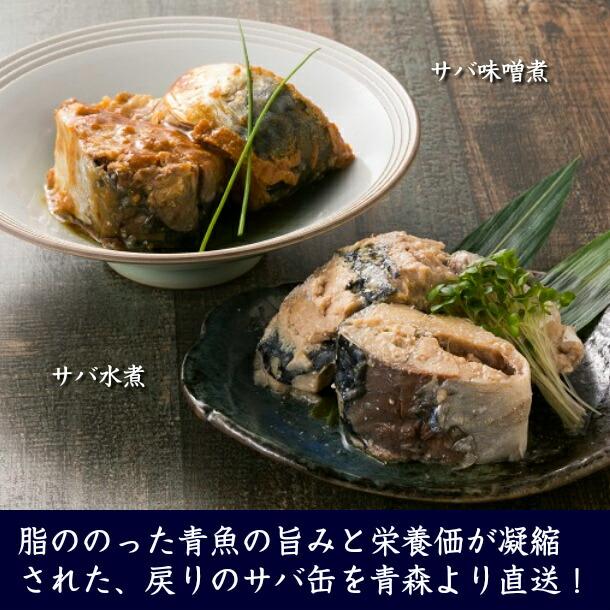 令和五年冬 寒鯖限定商品 さば缶詰 みそ煮 200g×12缶 サバ さば 鯖 国産原料使用 令和五年産 缶詰 みなみや 産地直送