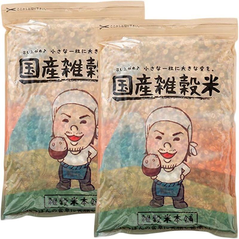 雑穀米本舗 栄養満点23穀米 1kg(500g×2袋)