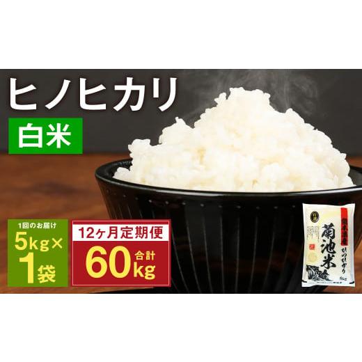 ふるさと納税 熊本県 菊池市 熊本県菊池産 ヒノヒカリ 5kg×12回 計60kg 精米 お米 白米