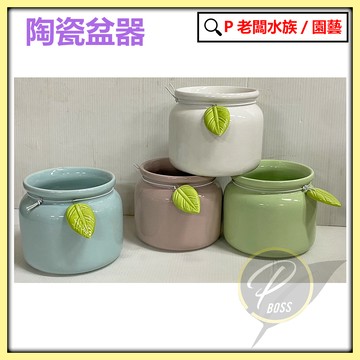 P老闆園藝~陶瓷盆 花盆 盆栽 植栽 多肉植物 室內培栽 陶瓷花器 質感花器40