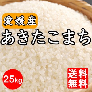 米 令和5年産 愛媛県産 あきたこまち 25kg※北海道,東北,沖縄除く