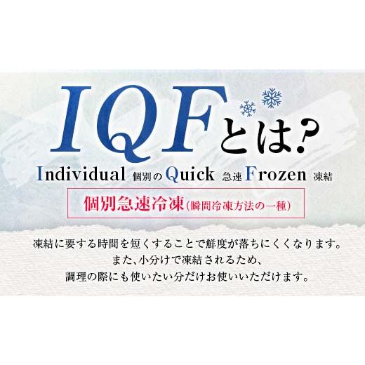 ふるさと納税 宮崎県 日南市 訳あり 数量限定 3か月 お楽しみ 定期便 若鶏 切り身 IQF セット もも肉 むね肉 総重量9.6kg 肉 鶏 鶏肉 国産 おかず 食品 お肉 …