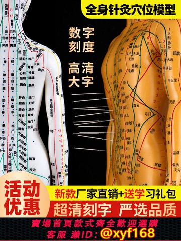 {可打統編 保固一年}人體針灸模型人經絡穴位中醫全身十二銅人模特圖練習小皮人可扎針