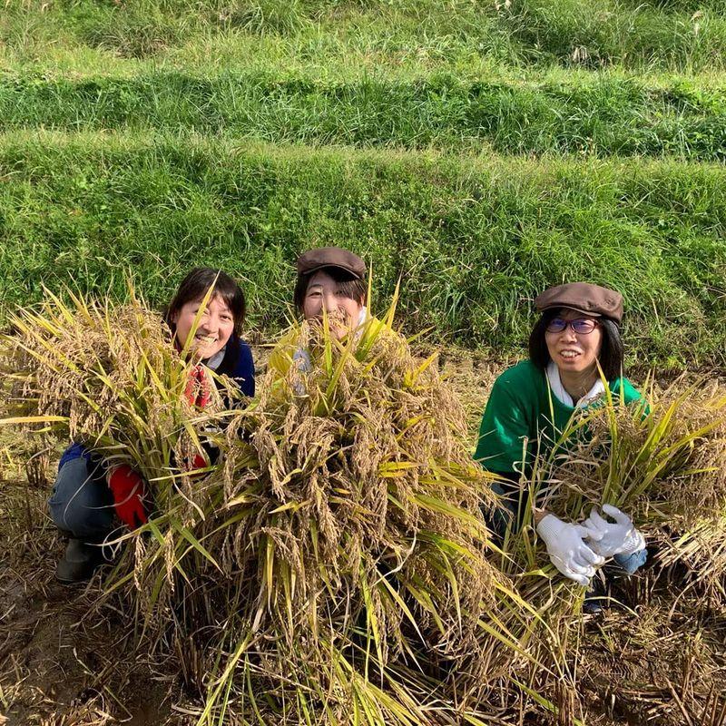 水菜土農園精米令和4年産 秋田県産 あきたこまち 10kg (5kg×2袋) 御縁米（縁結び）150g 付き