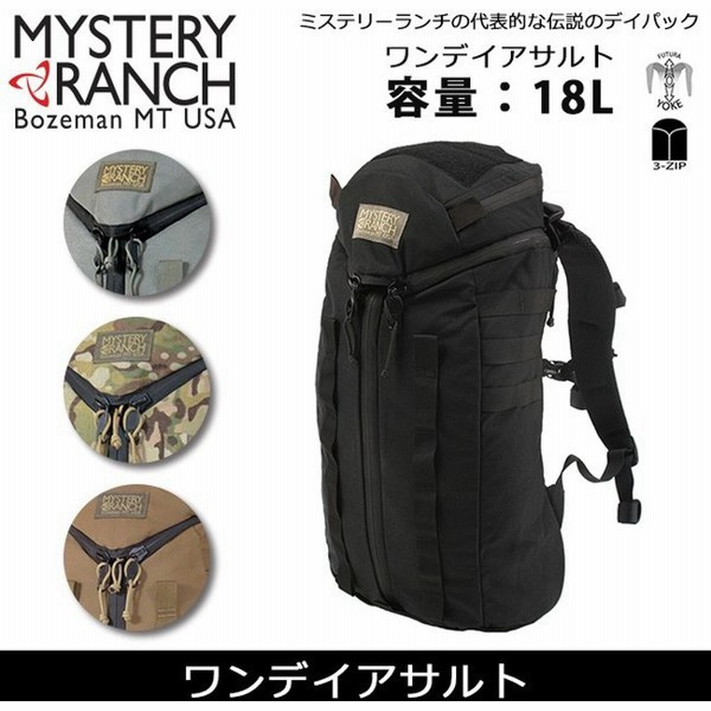 日本正規品 Mystery Ranch ミステリーランチバックパック 1day Assault 1デイアサルト Myrnh 137 通販 Lineポイント最大0 5 Get Lineショッピング