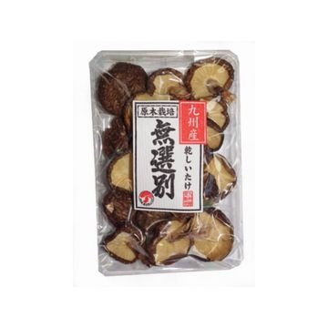 王将椎茸 九州産 椎茸 40g x 10個