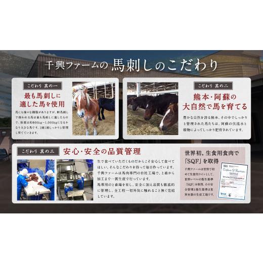 ふるさと納税 熊本県 高森町 馬刺し赤身・タタキ・ユッケセット 馬肉 冷凍 タレつき 熊本県 高森町