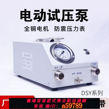 【全網低價 可打統編】打壓泵手提式手動電動試壓泵PPR水管打壓機測壓機地暖泵測漏水用