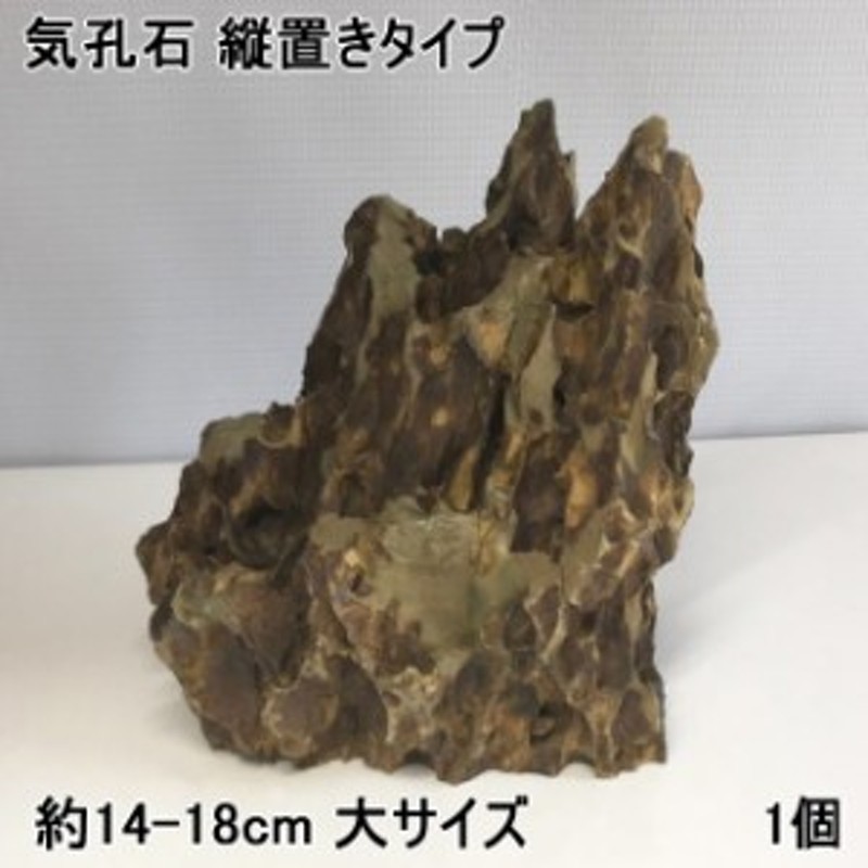 水槽用石 アクアリウム 水槽用 石 気孔石 縦置き 約14-18cm 大サイズ 1