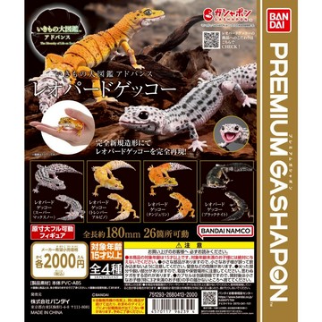 𓅓MOCHO𓅓 現貨 BANDAI Premium 扭蛋 生物大圖鑑進擊-豹紋壁虎 全4種 單顆