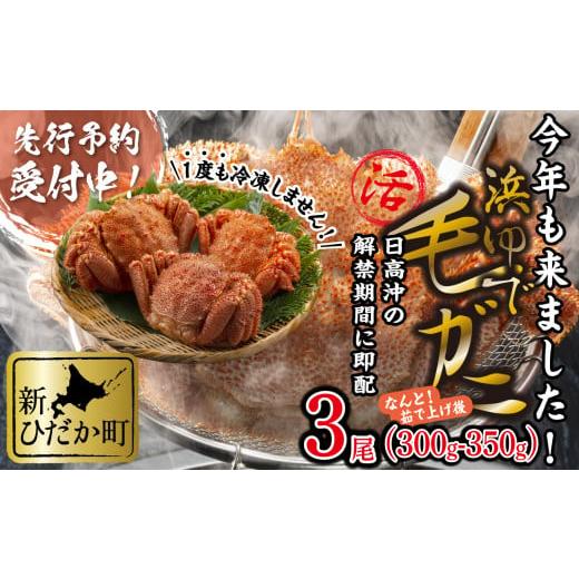 ふるさと納税 北海道 新ひだか町 ＜2024年1月から順次発送＞ 北海道産 浜ゆで 毛ガニ 3尾 計 900g 以上 ＜ 予約商品 ＞ 北海道  冷蔵 毛蟹 毛がに けがに かに…