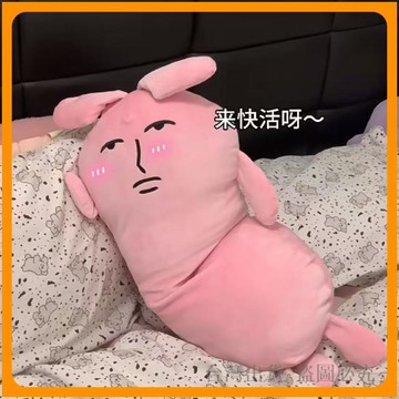 *臺灣出貨*粉紅兔子長條 玩偶 抱枕 宿舍牀上 毛絨 公仔 沙雕生日 禮物 女生可拆洗熱銷品 異形靠枕 惡搞抱枕 沙發靠