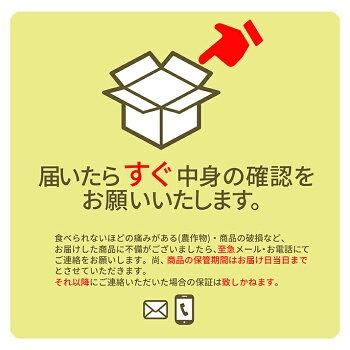 ＼只今、お届け中！日時指定OK／ 山形県産 赤肉メロン 秀品 約5kg (3〜5玉入り) 3L・4L玉 大玉 ギフト 贈答用 お中元 産地直送 庄内産 送料無料 果物 フルーツ