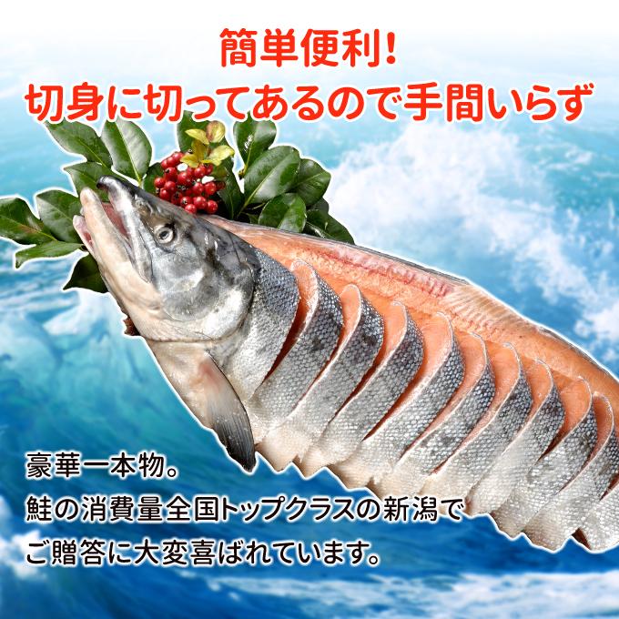 2023年新物！北海道産 新巻鮭一本物 姿切り約3.0kg 送料無料 海鮮 お取り寄せグルメ ギフト 新巻き鮭