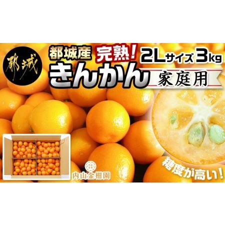 ふるさと納税 都城産完熟きんかん 家庭用3kg (2Lサイズ) 都城産 完熟きんかん きんかん 2Lサイズ 約3kg 柑橘類 2月〜3月お.. 宮崎県都城市