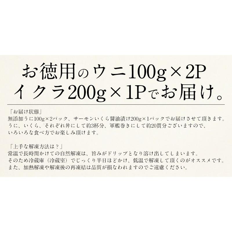 うに いくら セット 無添加ウニ 200g イクラ醤油漬け 200g  ギフト 贈り物 プレゼント 冬グルメ 冬ギフト