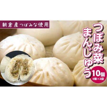 ふるさと納税 つぼみ菜まんじゅう 10個（80g×5個入×2袋）冷凍 肉まん 豚まん 惣菜 蕾菜 野菜 電子レンジ ※配送不可：離島 福岡県朝倉市